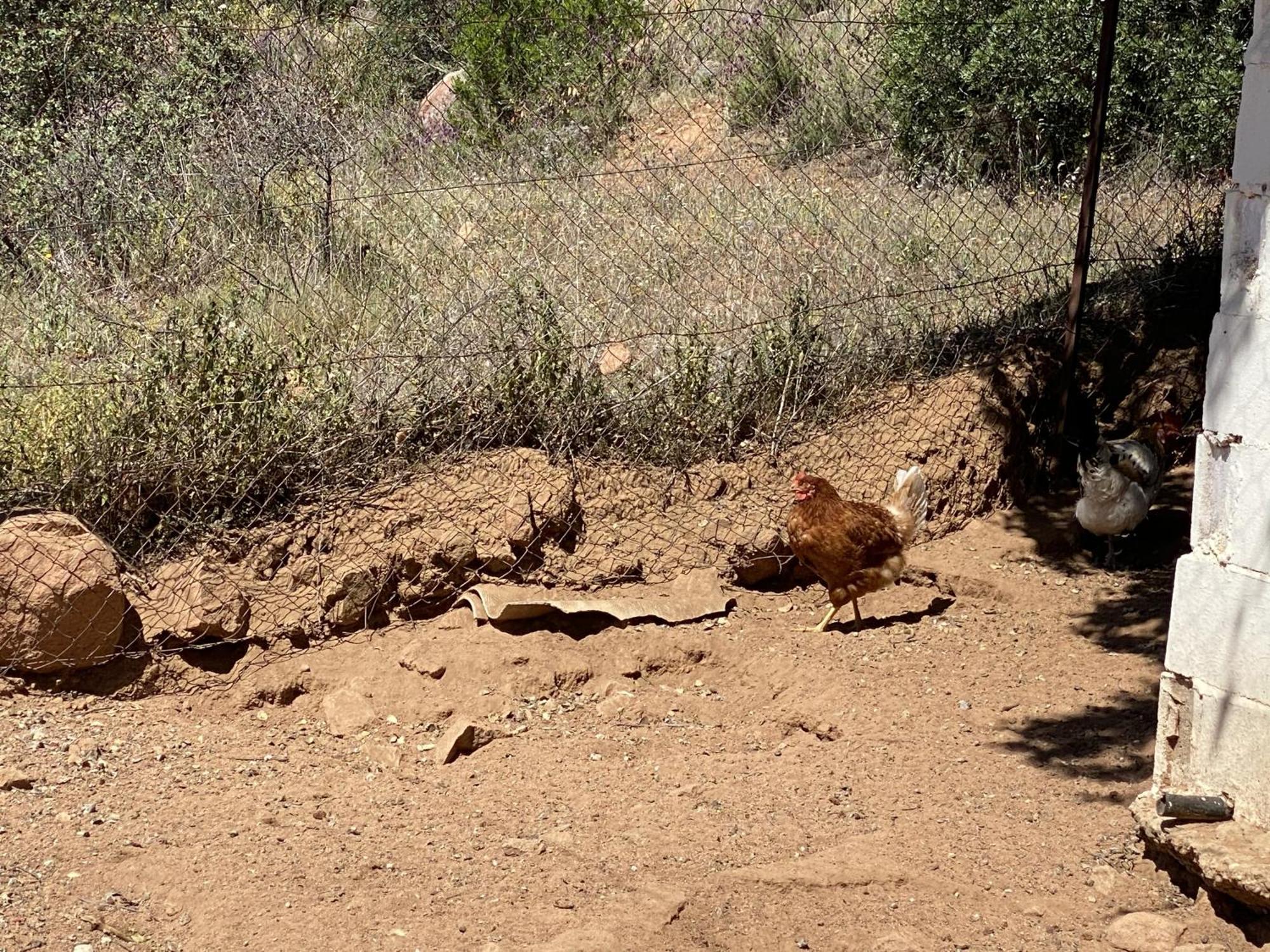 Las Chorreras Del Orejon 2 Villaviciosa de Córdoba Exterior foto